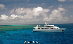 Osprey Reef, Coral Sea. by Bill Arle 